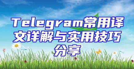 Telegram常用译文详解与实用技巧分享