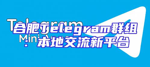 合肥Telegram群组：本地交流新平台