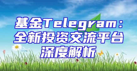 基金Telegram：全新投资交流平台深度解析