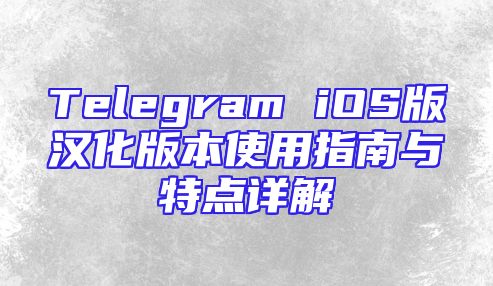 Telegram iOS版汉化版本使用指南与特点详解