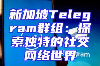 新加坡Telegram群组：探索独特的社交网络世界