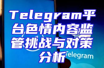 Telegram平台色情内容监管挑战与对策分析