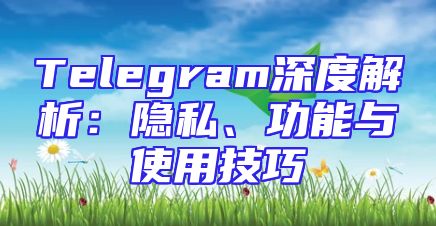 Telegram深度解析：隐私、功能与使用技巧