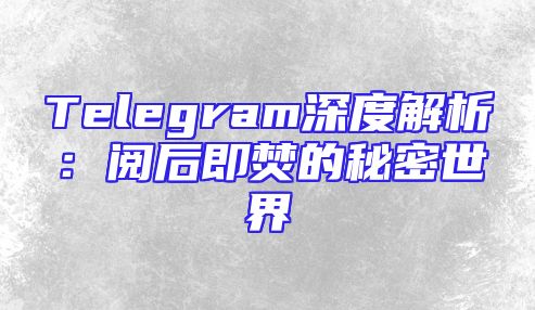 Telegram深度解析：阅后即焚的秘密世界