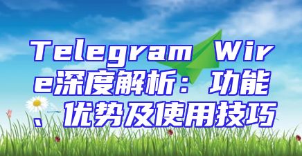 Telegram Wire深度解析：功能、优势及使用技巧