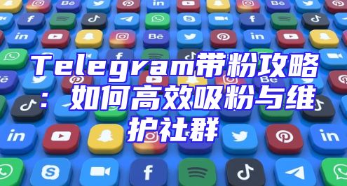 Telegram带粉攻略：如何高效吸粉与维护社群