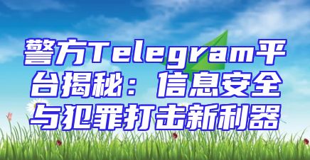 警方Telegram平台揭秘：信息安全与犯罪打击新利器