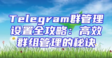Telegram群管理设置全攻略：高效群组管理的秘诀