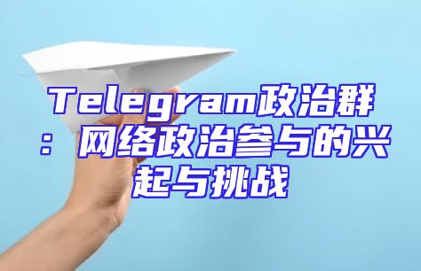 Telegram政治群：网络政治参与的兴起与挑战