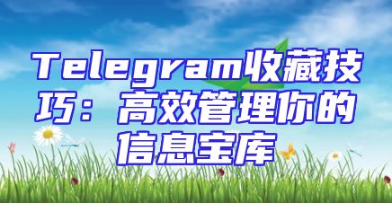 Telegram收藏技巧：高效管理你的信息宝库