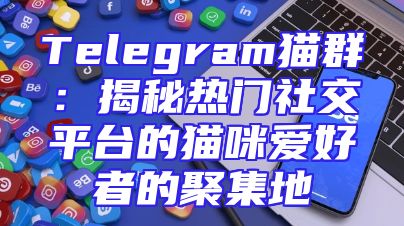 Telegram猫群：揭秘热门社交平台的猫咪爱好者的聚集地