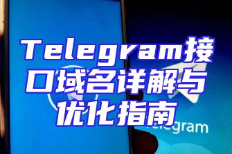 Telegram接口域名详解与优化指南