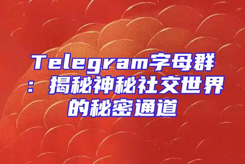 Telegram字母群：揭秘神秘社交世界的秘密通道