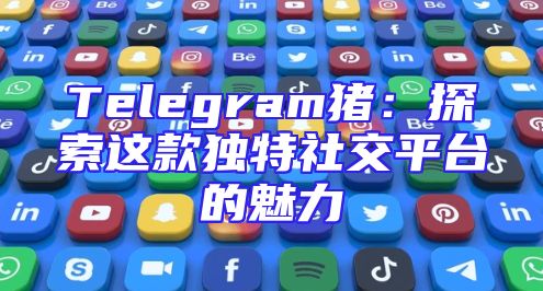 Telegram猪：探索这款独特社交平台的魅力