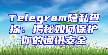 Telegram隐私查探：揭秘如何保护你的通讯安全