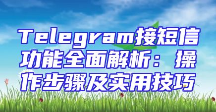 Telegram接短信功能全面解析：操作步骤及实用技巧