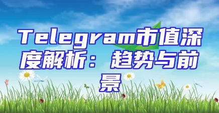 Telegram市值深度解析：趋势与前景