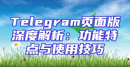 Telegram页面版深度解析：功能特点与使用技巧