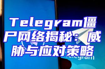 Telegram僵尸网络揭秘：威胁与应对策略