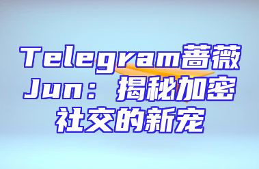 Telegram蔷薇Jun：揭秘加密社交的新宠