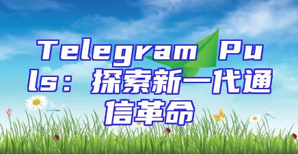 Telegram Puls：探索新一代通信革命