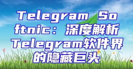 Telegram Softnic：深度解析Telegram软件界的隐藏巨头