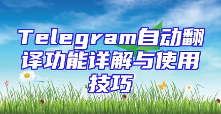 Telegram自动翻译功能详解与使用技巧