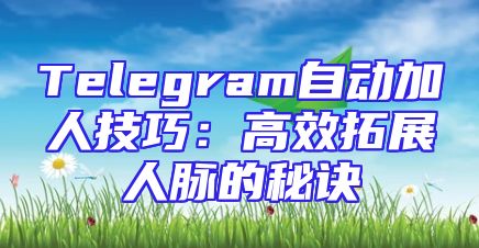 Telegram自动加人技巧：高效拓展人脉的秘诀