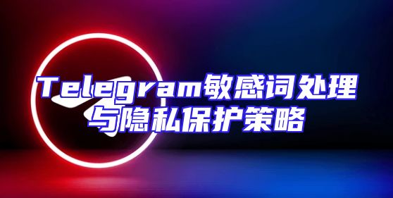 Telegram敏感词处理与隐私保护策略