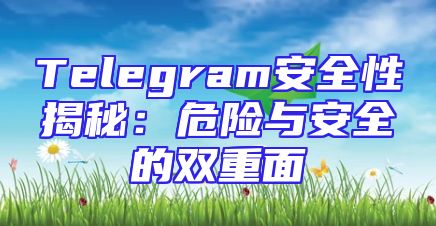 Telegram安全性揭秘：危险与安全的双重面