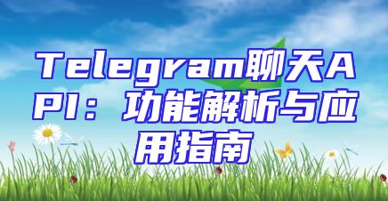 Telegram聊天API：功能解析与应用指南