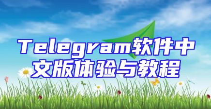 Telegram软件中文版体验与教程