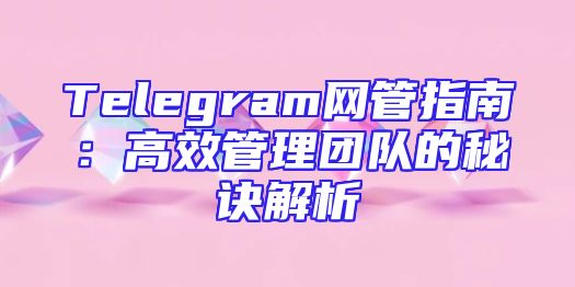 Telegram网管指南：高效管理团队的秘诀解析