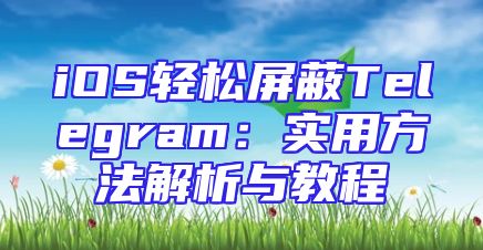 iOS轻松屏蔽Telegram：实用方法解析与教程