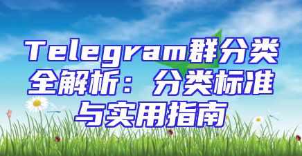 Telegram群分类全解析：分类标准与实用指南