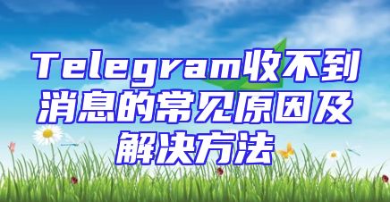Telegram收不到消息的常见原因及解决方法