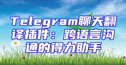 Telegram聊天翻译插件：跨语言沟通的得力助手