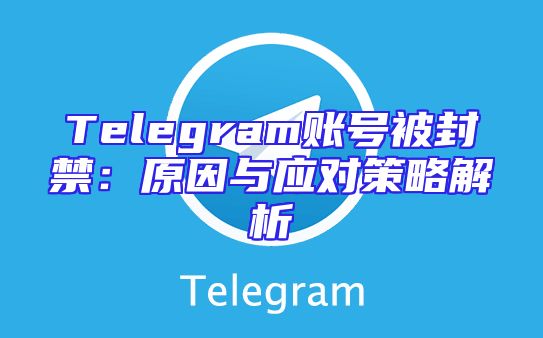Telegram账号被封禁：原因与应对策略解析