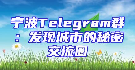 宁波Telegram群：发现城市的秘密交流圈