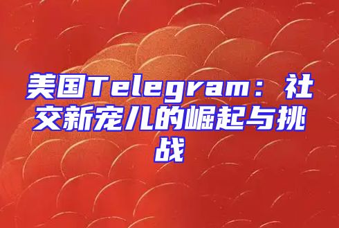 美国Telegram：社交新宠儿的崛起与挑战