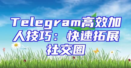 Telegram高效加人技巧：快速拓展社交圈