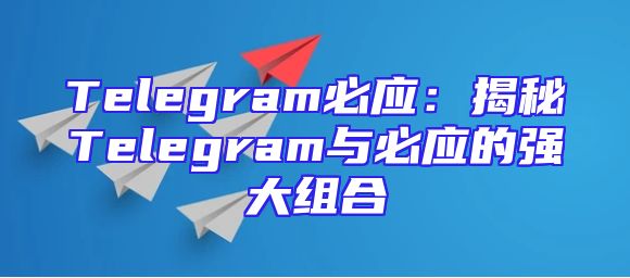 Telegram必应：揭秘Telegram与必应的强大组合