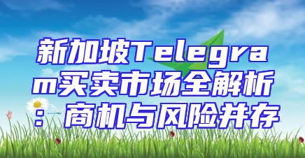 新加坡Telegram买卖市场全解析：商机与风险并存