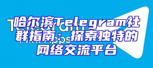 哈尔滨Telegram社群指南：探索独特的网络交流平台