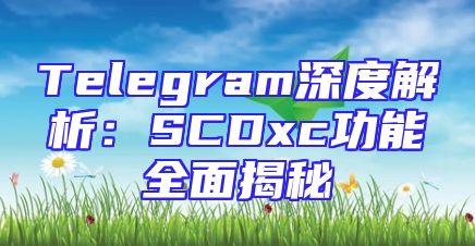 Telegram深度解析：SCDxc功能全面揭秘