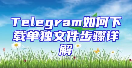 Telegram如何下载单独文件步骤详解