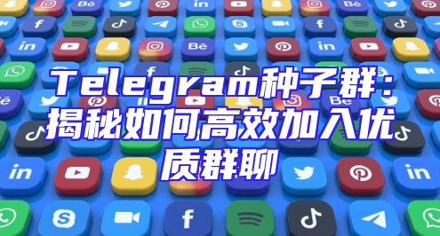 Telegram种子群：揭秘如何高效加入优质群聊