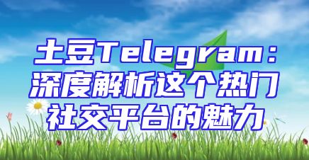 土豆Telegram：深度解析这个热门社交平台的魅力