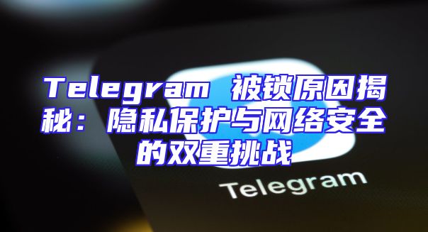Telegram 被锁原因揭秘：隐私保护与网络安全的双重挑战