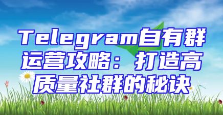 Telegram自有群运营攻略：打造高质量社群的秘诀